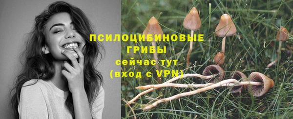дмт Иннополис