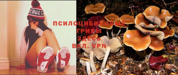 дмт Иннополис