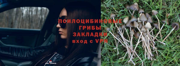 дмт Иннополис